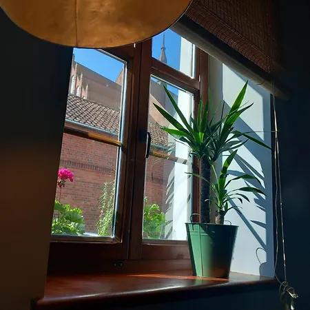 Apartament Niebieski *